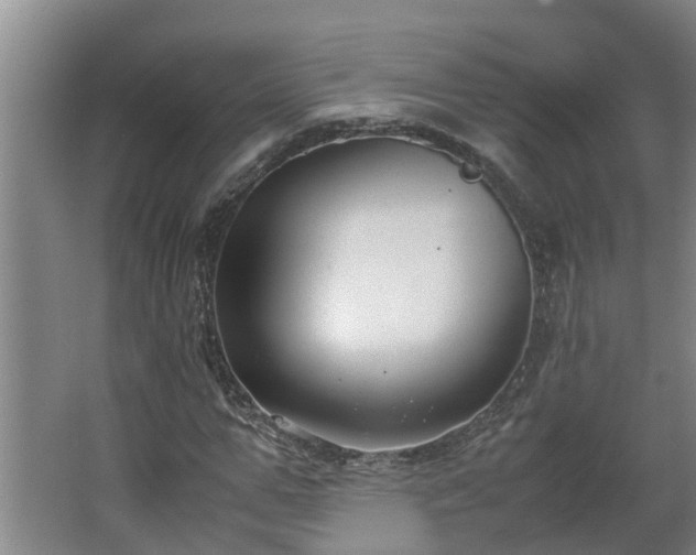 X0000062600967200512281354