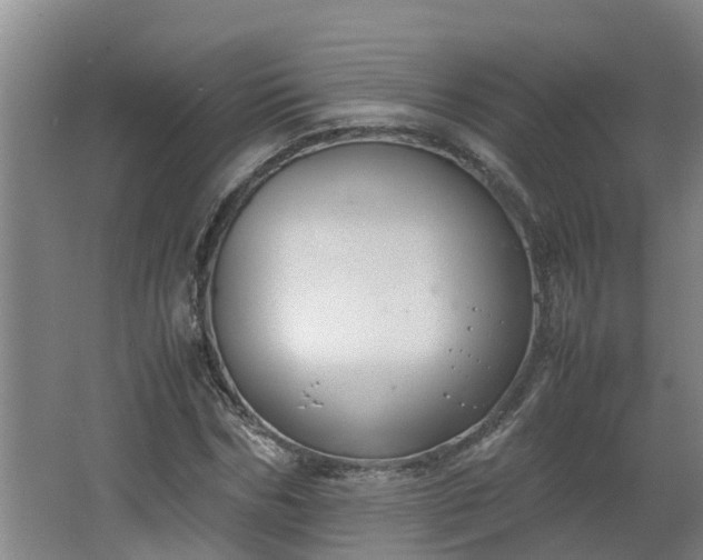 X0000062600970200512281354