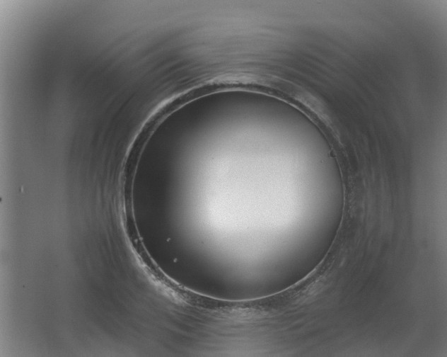 X0000062600984200512281354