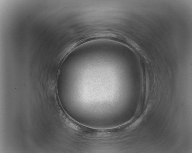 X0000062600985200512281354