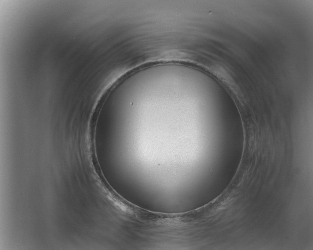 X0000062600990200512281353