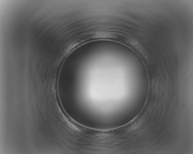 X0000062601033200512281353