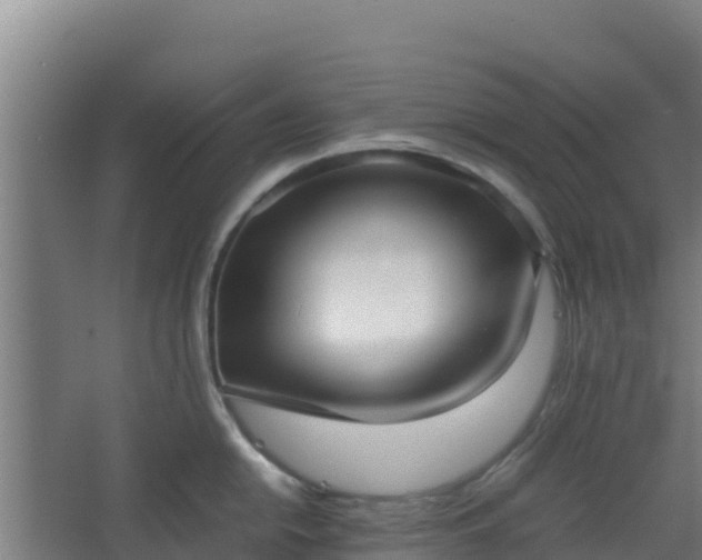 X0000062601054200512281353