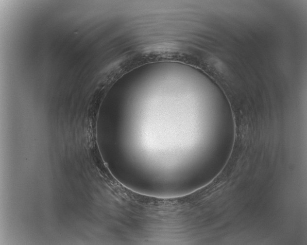 X0000062601062200512281352