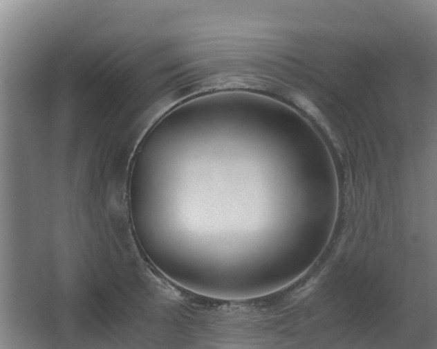 X0000062601089200512281352