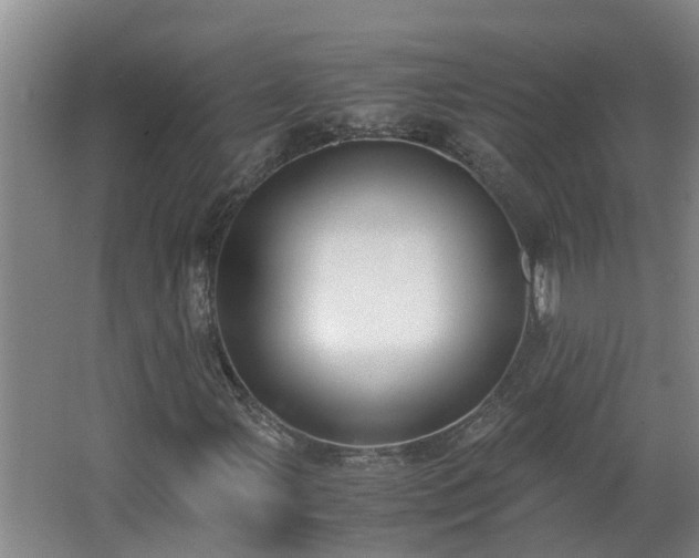 X0000062601107200512281351