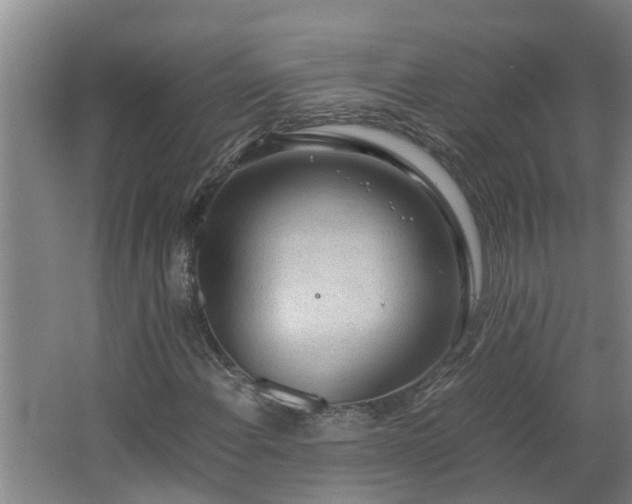 X0000062601108200512281351