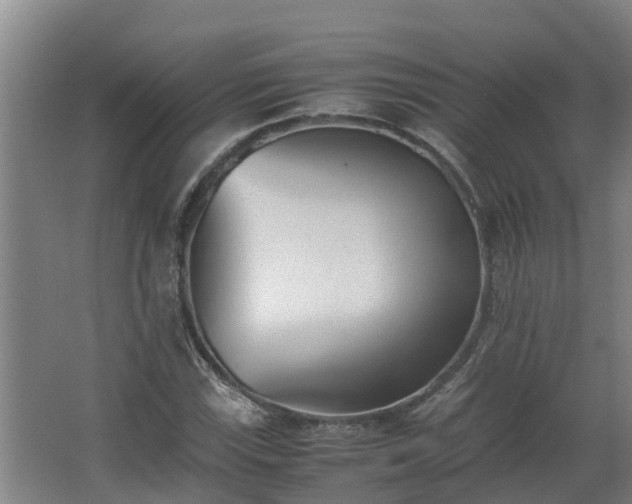 X0000062601115200512281351