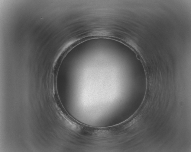 X0000062601123200512281351