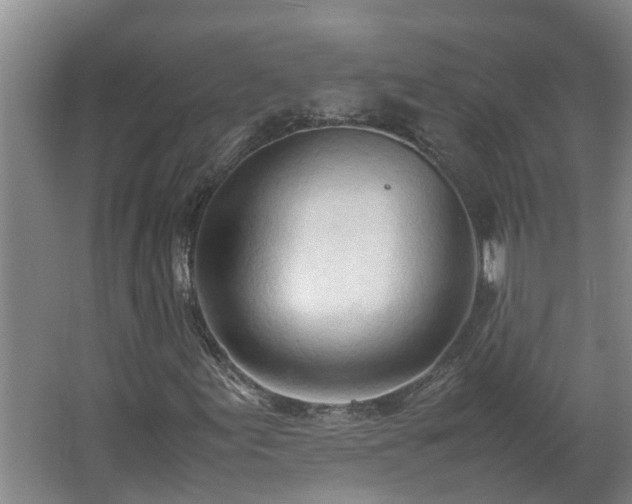 X0000062601155200512281351