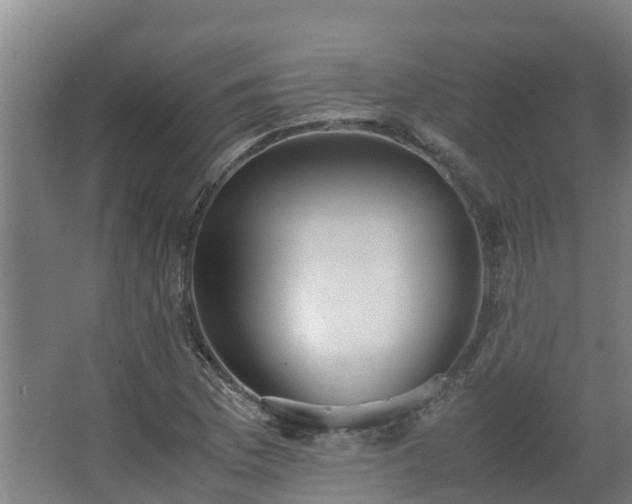 X0000062601169200512281350