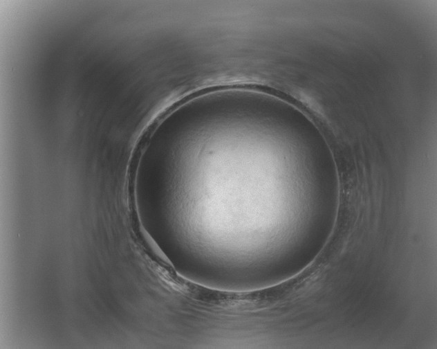 X0000062601173200512281350