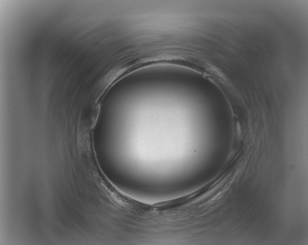 X0000062601177200512281350