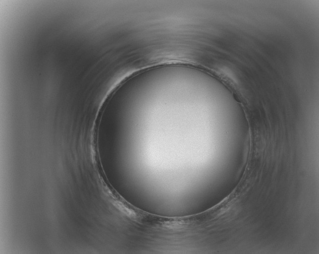 X0000062601182200512281350