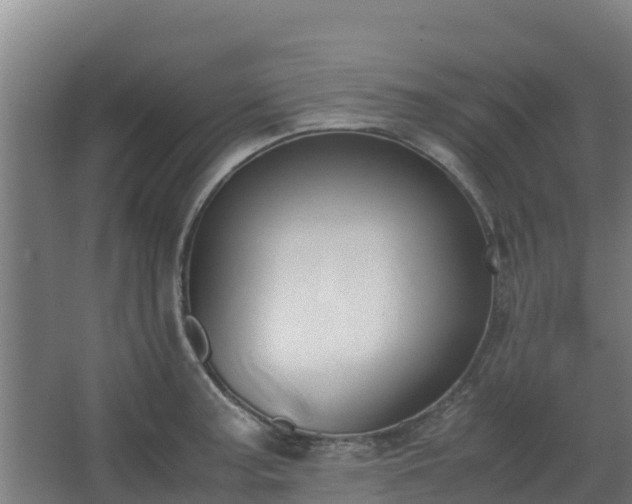 X0000062601187200512281350