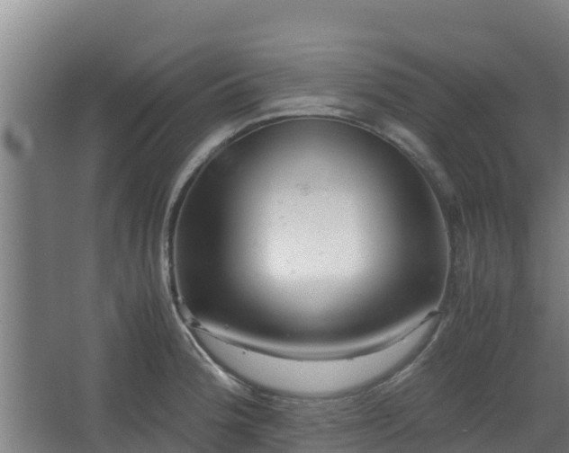 X0000062601188200512281350