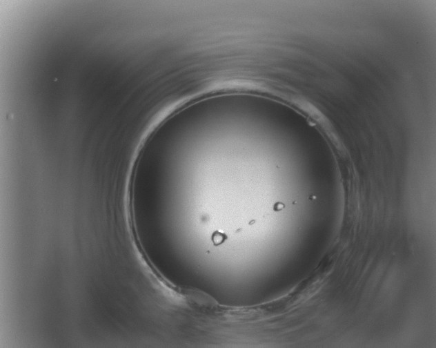 X0000062601199200512281350