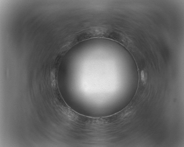X0000062601203200512281349