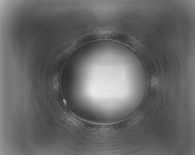 X0000062601204200512281349