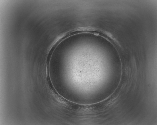 X0000062601221200512281349