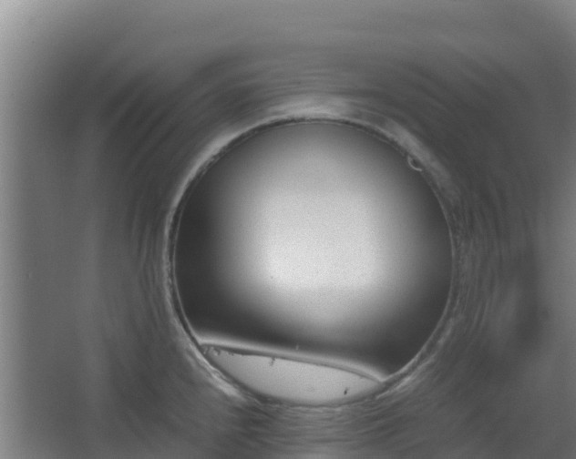 X0000062601240200512281350