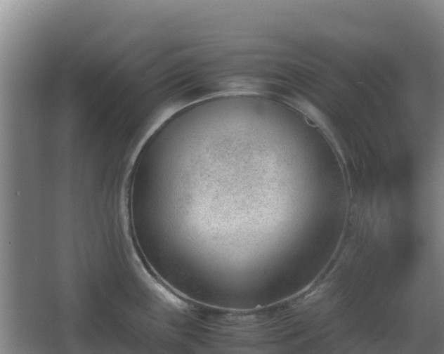 X0000062601243200512281350