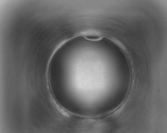X0000062601248200512281350