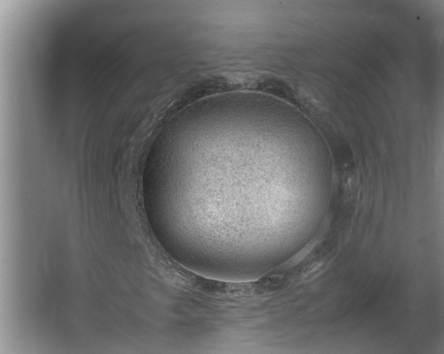 X0000062601249200512281349