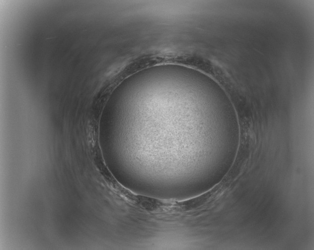 X0000062601253200512281349