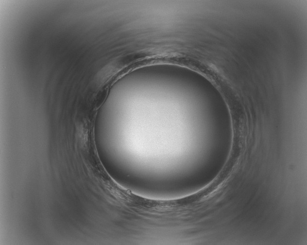 X0000062601257200512281349