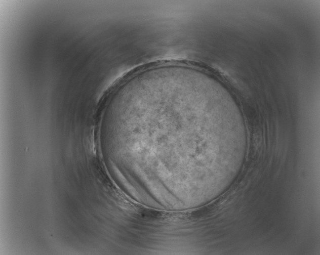 X0000062601262200512281349