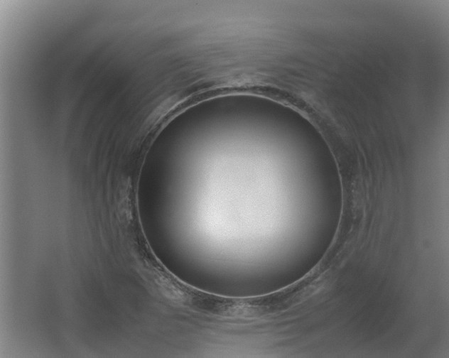 X0000062601265200512281349