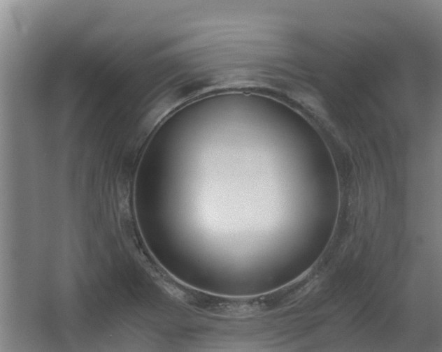 X0000062601273200512281349