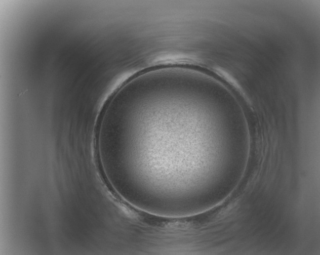X0000062601277200512281348