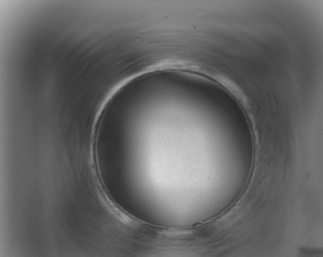 X0000062601296200512281348