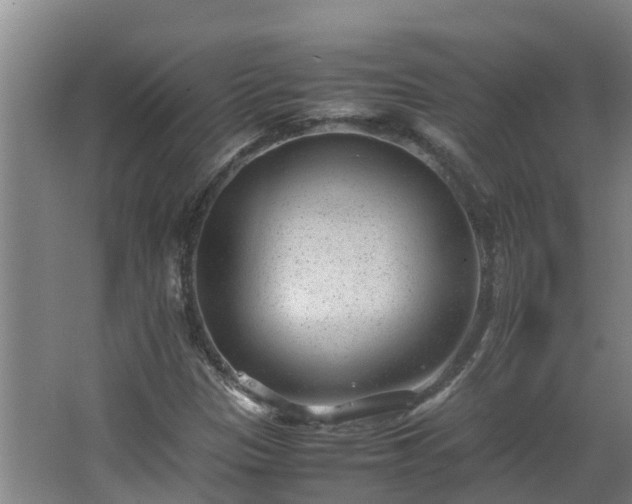 X0000062601305200512281347