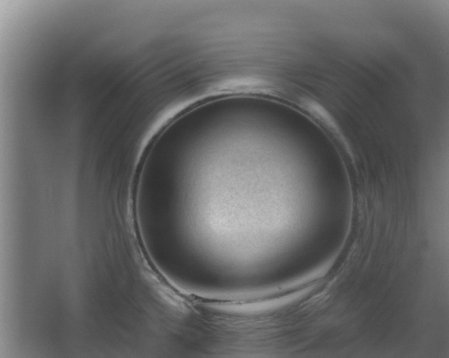 X0000062601336200512281348