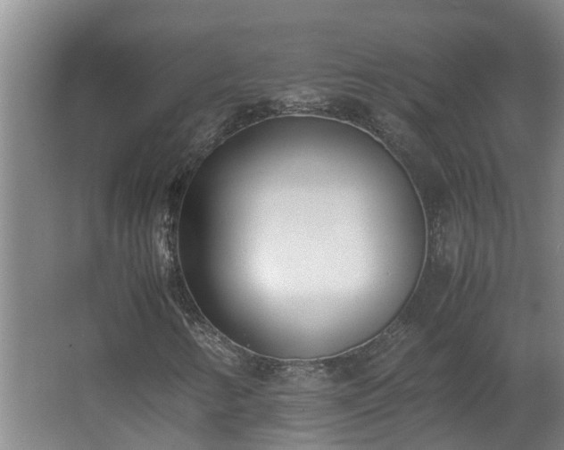 X0000062601346200512281347