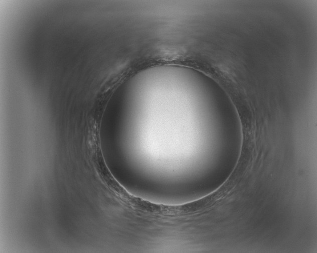 X0000062601349200512281347