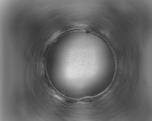 X0000062601354200512281347