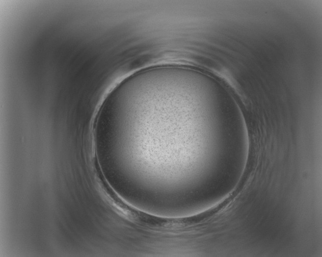 X0000062601371200512281347