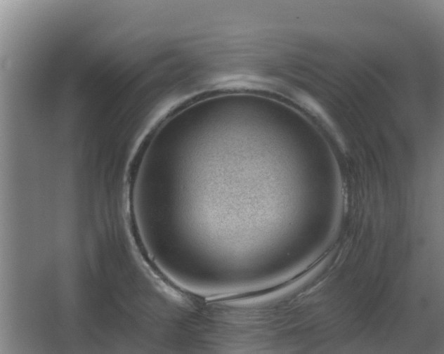 X0000062601376200512281347