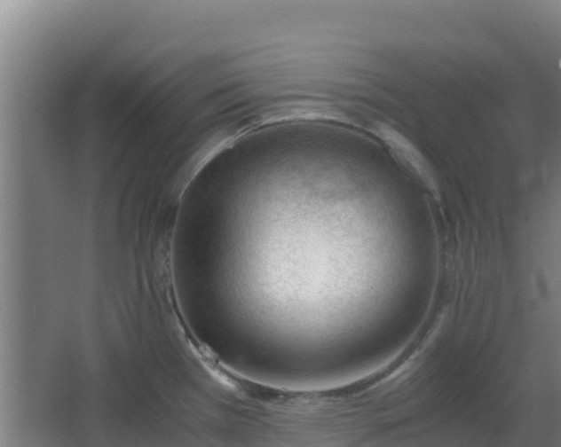 X0000062601385200512281347