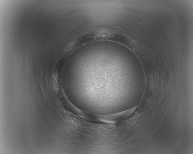X0000062601394200512281346
