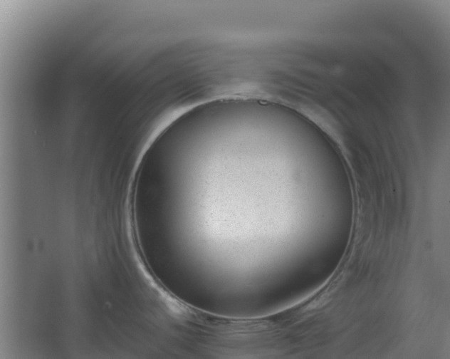 X0000062601440200512281347