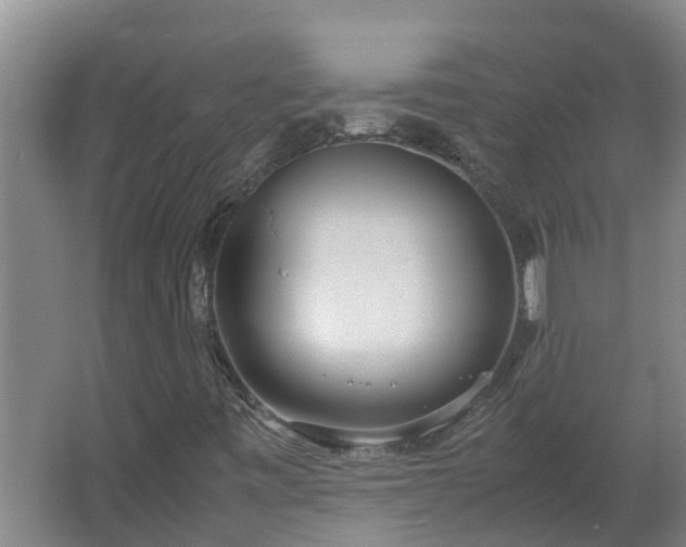 X0000062601443200512281346
