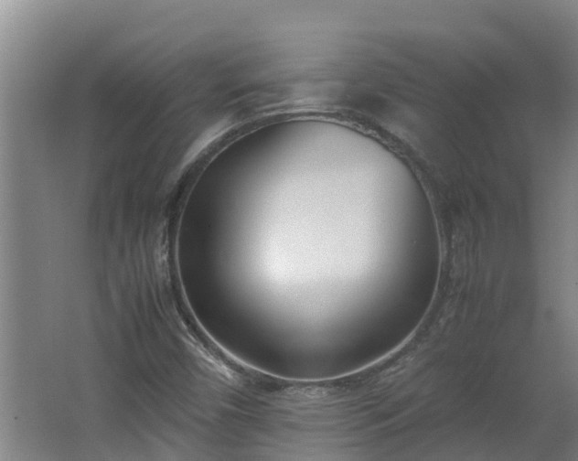 X0000062601450200512281346