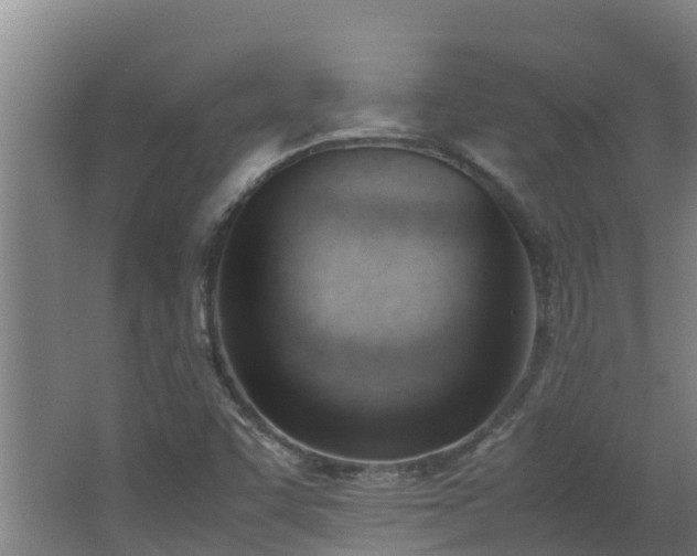 X0000062601455200512281345