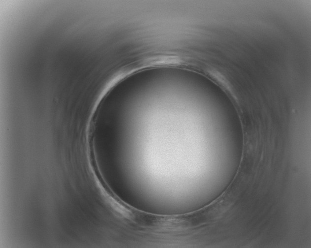 X0000062601475200512281345