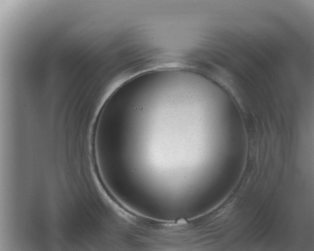 X0000062601483200512281345
